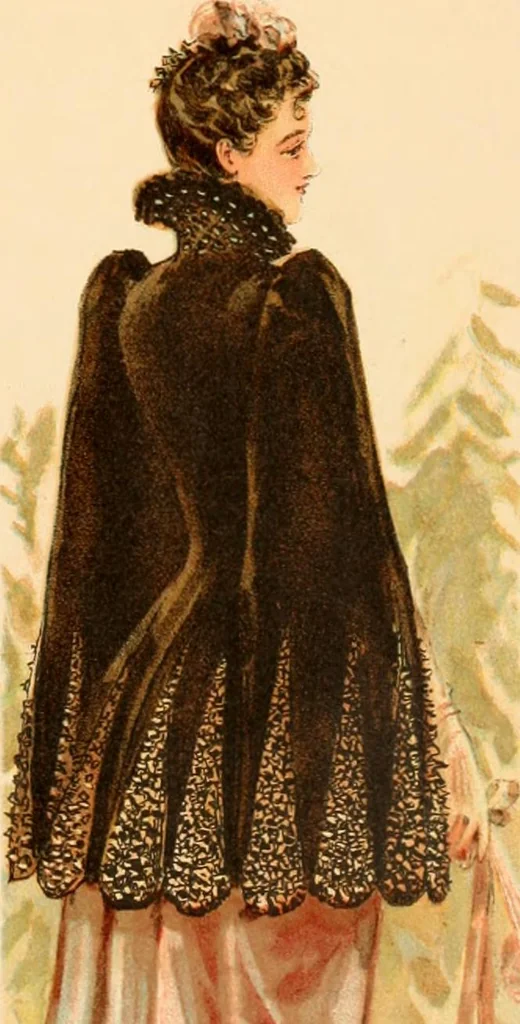 An illustration from Catalogue : fall and winter 1891., 1891, leaf 22