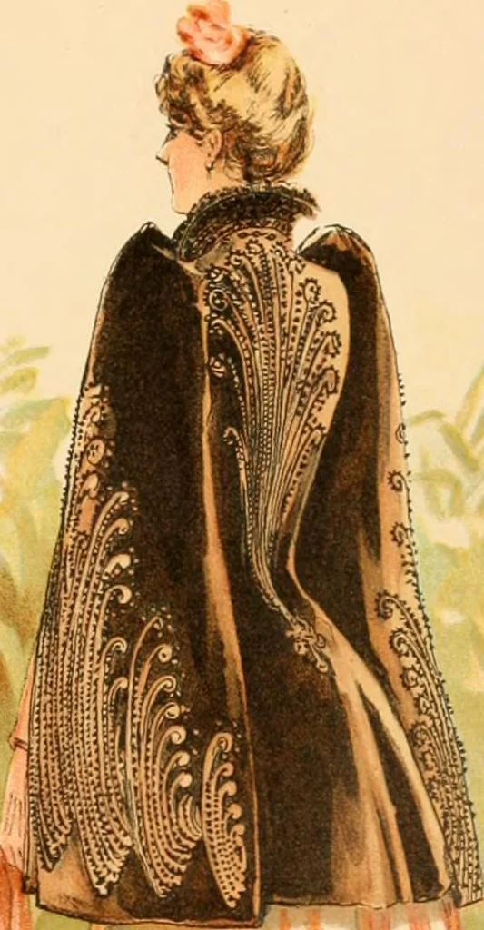 An illustration from Catalogue : fall and winter 1891., 1891, leaf 24