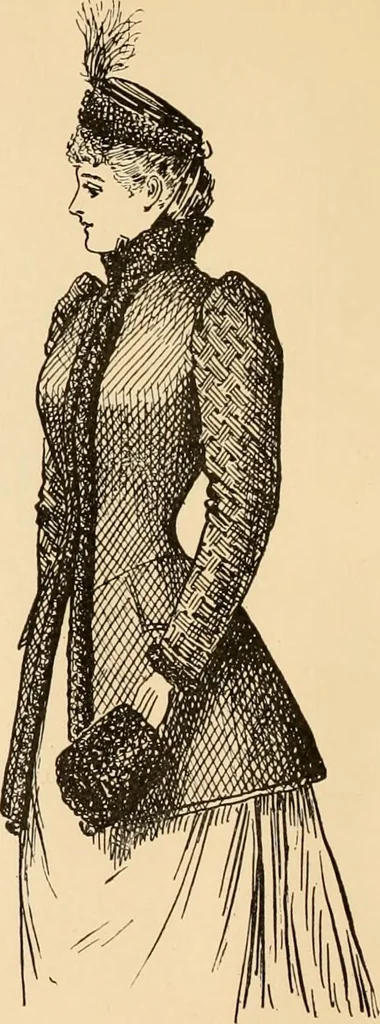 An illustration from Catalogue : fall and winter 1891., 1891, leaf 47