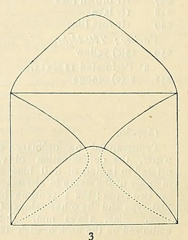 An illustration from A catalogue for advanced collectors of postage stamps, stamped envelopes and wrappers;, 1890, leaf 72