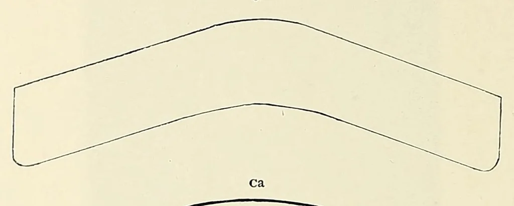 An illustration from A catalogue for advanced collectors of postage stamps, stamped envelopes and wrappers;, 1890, leaf 110