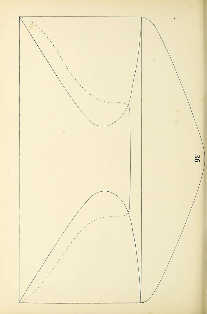 An illustration from A catalogue for advanced collectors of postage stamps, stamped envelopes and wrappers;, 1890, leaf 148