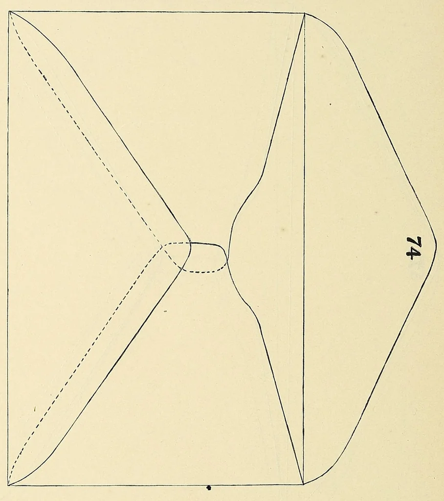 An illustration from A catalogue for advanced collectors of postage stamps, stamped envelopes and wrappers;, 1890, leaf 186