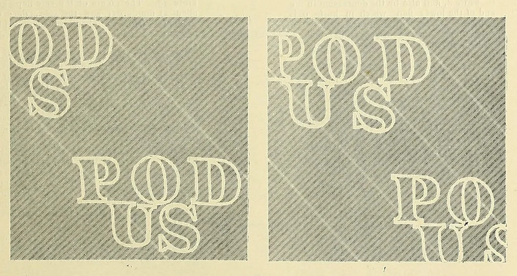An illustration from A catalogue for advanced collectors of postage stamps, stamped envelopes and wrappers;, 1890, leaf 37
