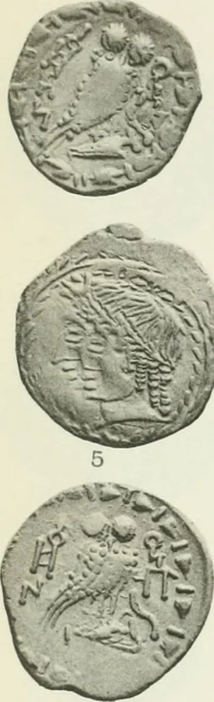 An illustration from Catalogue of the Greek coins of Arabia, Mesopotamia and Persia (Nabataea, Arabia Provincia, S. Arabia, Mesopotamia, Babylonia, Assyria, Persia, Alexandrine empire of the East, Persis, Elymais, Characene / by George Francis Hill ... With a map and fifty-five plates, 1922, leaf 604
