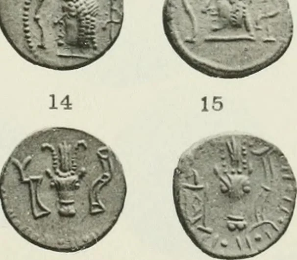 An illustration from Catalogue of the Greek coins of Arabia, Mesopotamia and Persia (Nabataea, Arabia Provincia, S. Arabia, Mesopotamia, Babylonia, Assyria, Persia, Alexandrine empire of the East, Persis, Elymais, Characene / by George Francis Hill ... With a map and fifty-five plates, 1922, leaf 606
