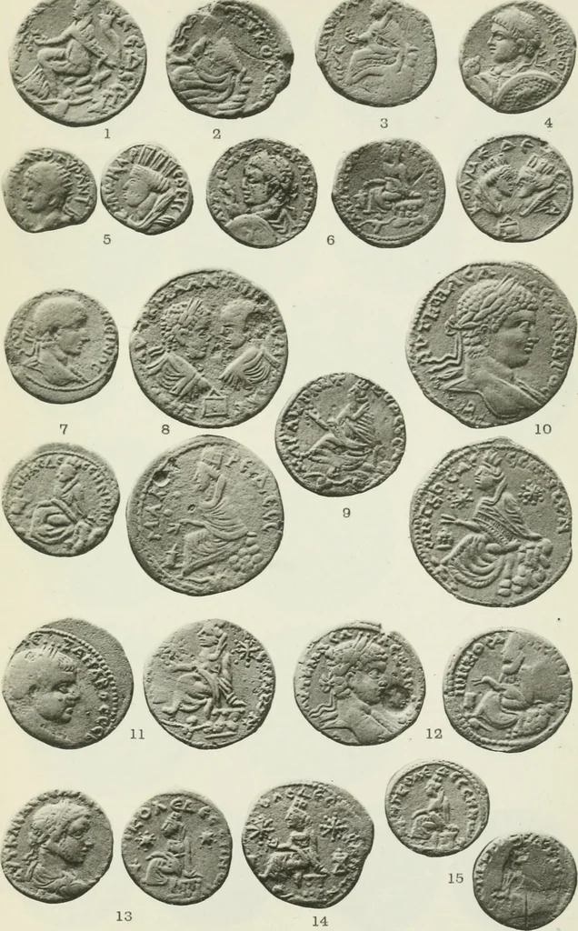 An illustration from Catalogue of the Greek coins of Arabia, Mesopotamia and Persia (Nabataea, Arabia Provincia, S. Arabia, Mesopotamia, Babylonia, Assyria, Persia, Alexandrine empire of the East, Persis, Elymais, Characene / by George Francis Hill ... With a map and fifty-five plates, 1922, leaf 616
