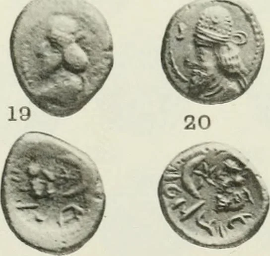 An illustration from Catalogue of the Greek coins of Arabia, Mesopotamia and Persia (Nabataea, Arabia Provincia, S. Arabia, Mesopotamia, Babylonia, Assyria, Persia, Alexandrine empire of the East, Persis, Elymais, Characene / by George Francis Hill ... With a map and fifty-five plates, 1922, leaf 654