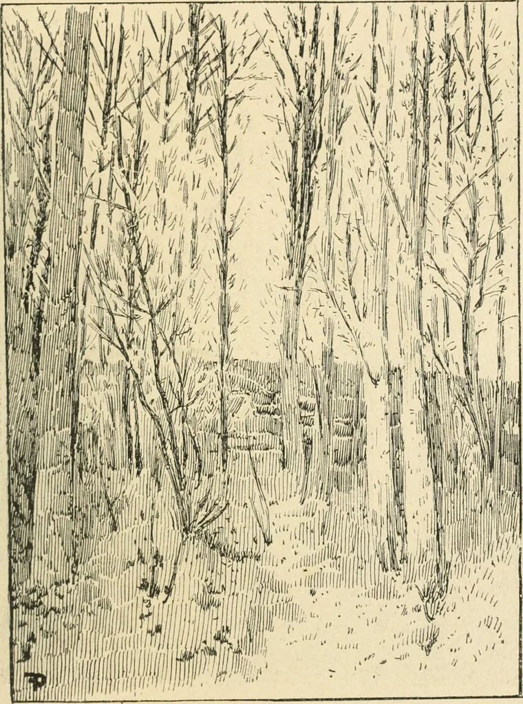 An illustration from Catalogue illustré des ouvrages de peinture, sculpture et gravure, 1890, leaf 136