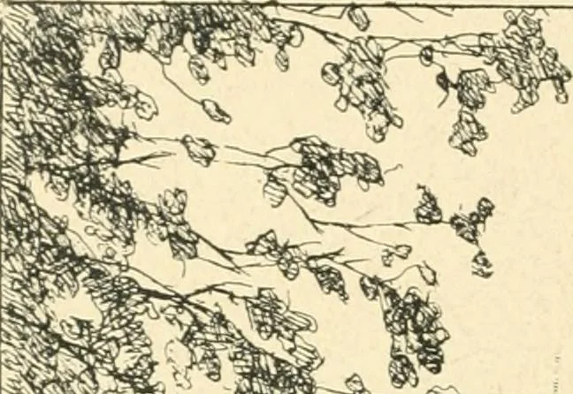 An illustration from Catalogue illustré des ouvrages de peinture, sculpture et gravure, 1890, leaf 167