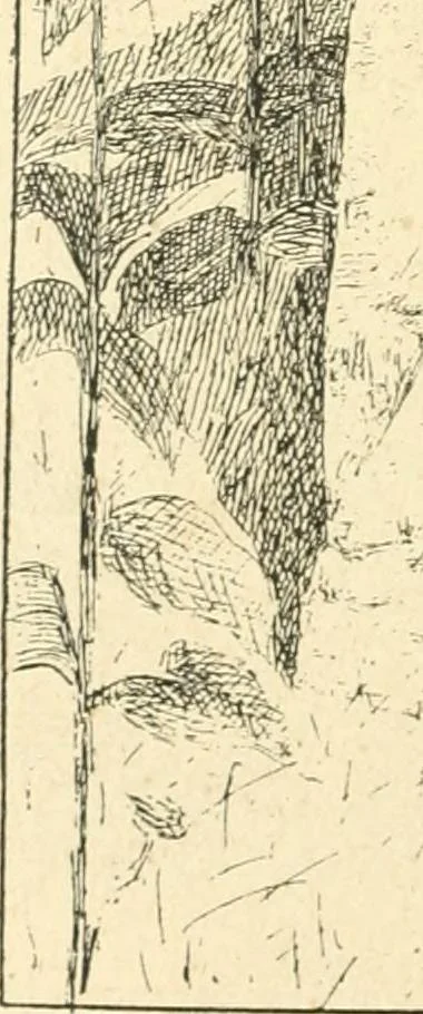 An illustration from Catalogue illustré des ouvrages de peinture, sculpture et gravure, 1890, leaf 173