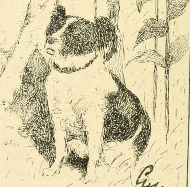 An illustration from Catalogue illustré des ouvrages de peinture, sculpture et gravure, 1890, leaf 173