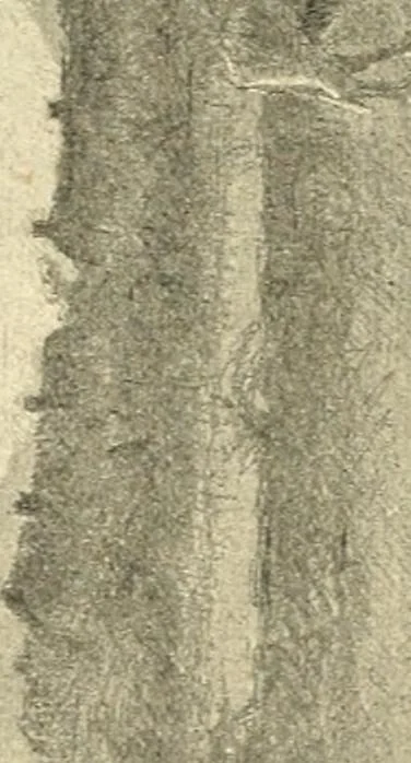 An illustration from Catalogue illustré des ouvrages de peinture, sculpture et gravure, 1890, leaf 203