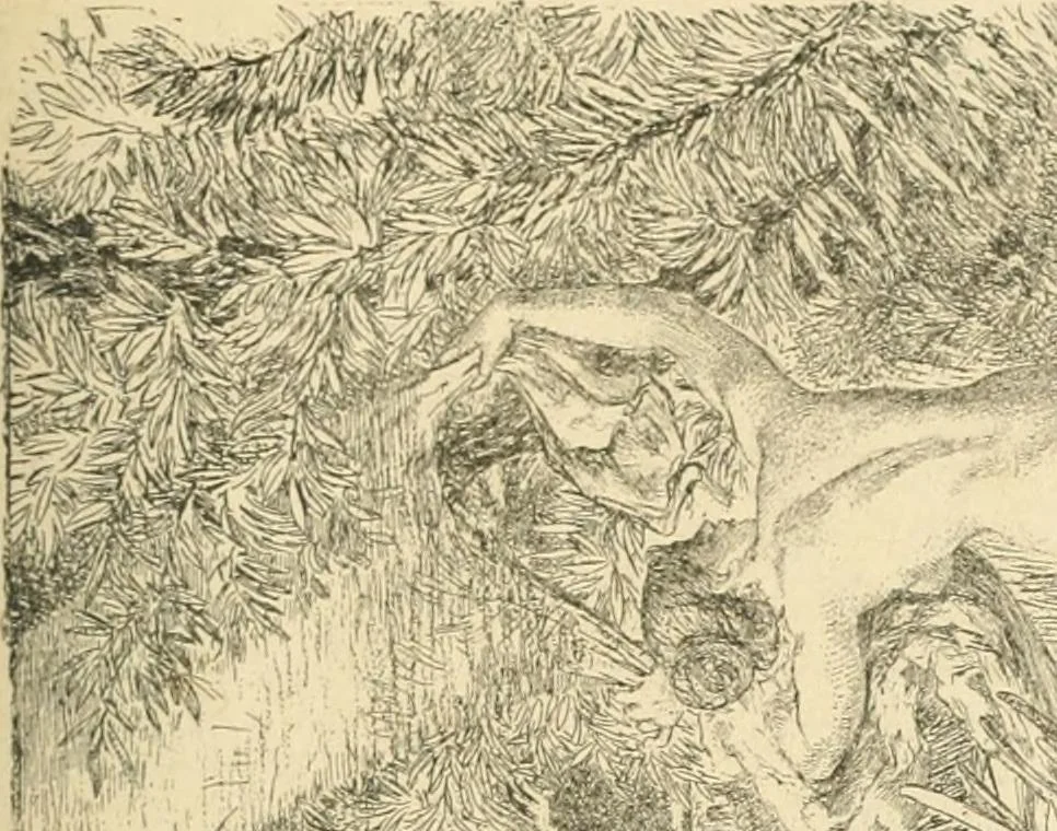 An illustration from Catalogue illustré des ouvrages de peinture, sculpture et gravure, 1890, leaf 268