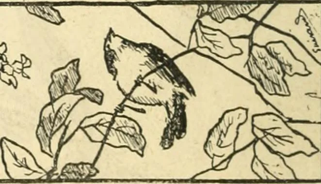 An illustration from Catalogue illustré des ouvrages de peinture, sculpture et gravure, 1890, leaf 277