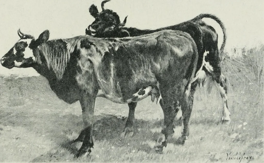 An illustration from Catalogue illustré de l'Exposition internationale de Bruxelles. Beaux-arts, 1897, leaf 162