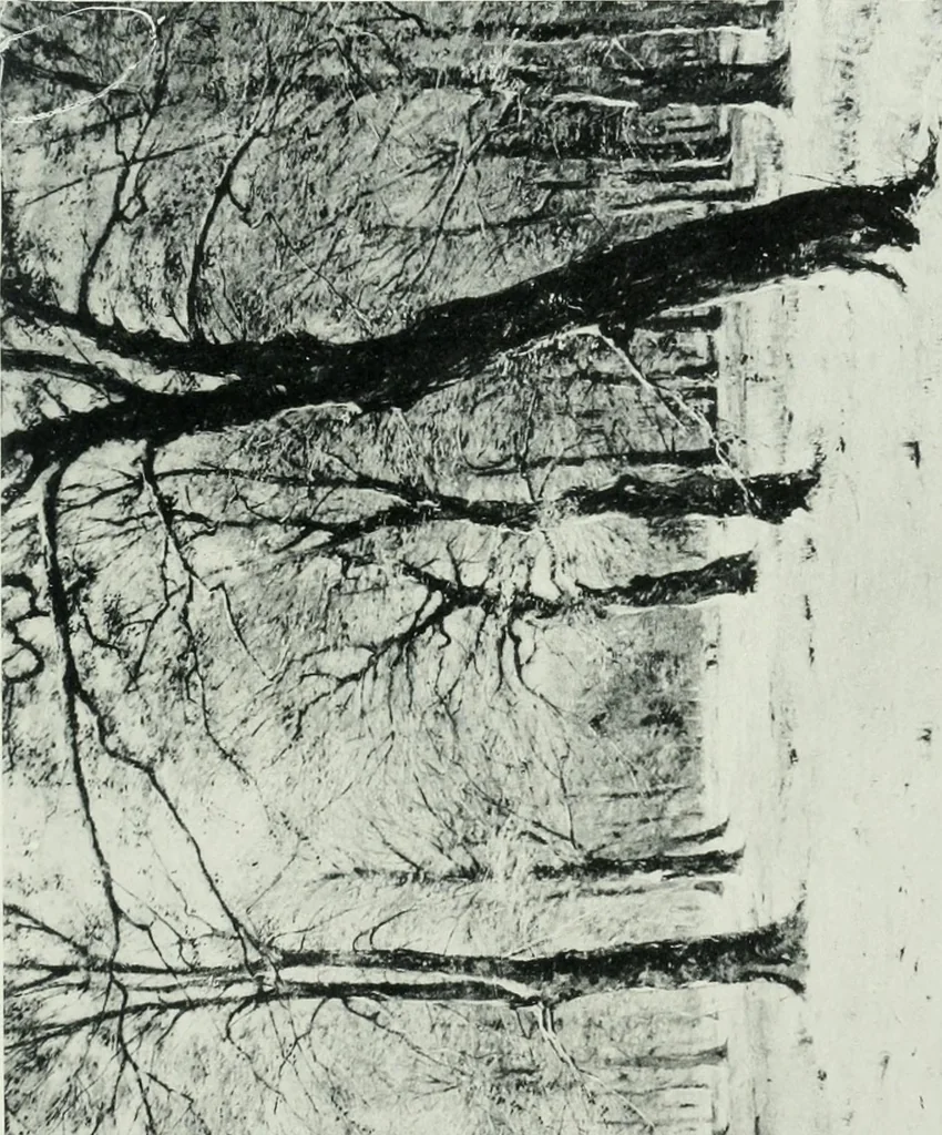 An illustration from Catalogue illustré de l'Exposition internationale de Bruxelles. Beaux-arts, 1897, leaf 186
