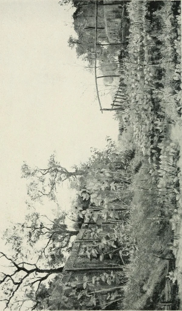 An illustration from Catalogue illustré de l'Exposition internationale de Bruxelles. Beaux-arts, 1897, leaf 229
