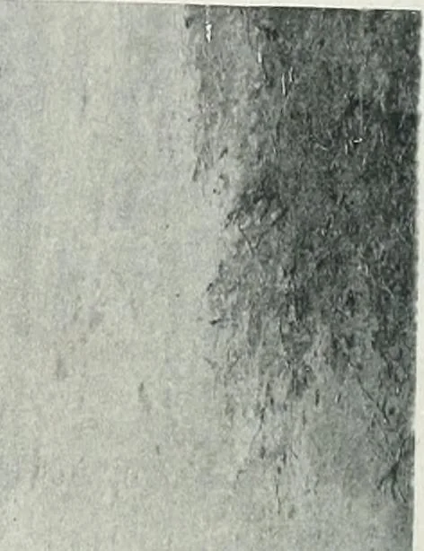 An illustration from Catalogue illustré de l'Exposition internationale de Bruxelles. Beaux-arts, 1897, leaf 249