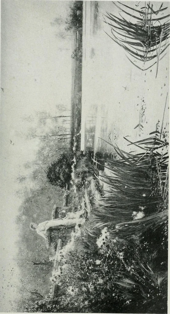 An illustration from Catalogue illustré de l'Exposition internationale de Bruxelles. Beaux-arts, 1897, leaf 86