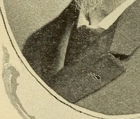 An illustration from Catalogue (illustrated) Fine arts department, 1897, leaf 21
