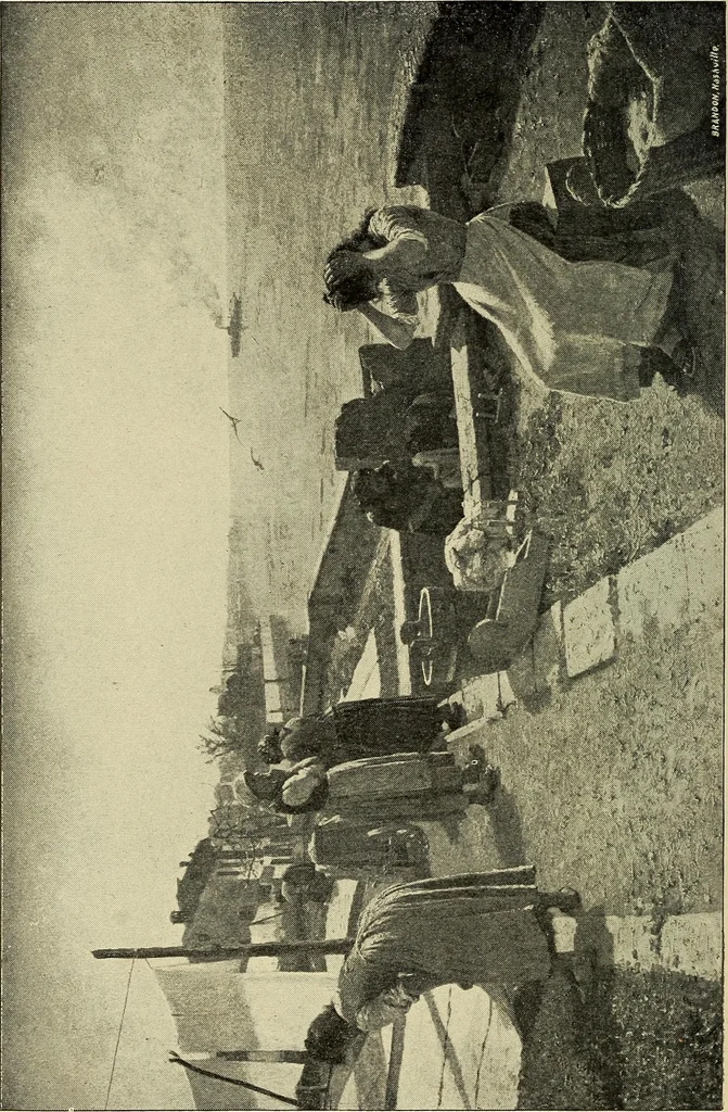 An illustration from Catalogue (illustrated) Fine arts department, 1897, leaf 49