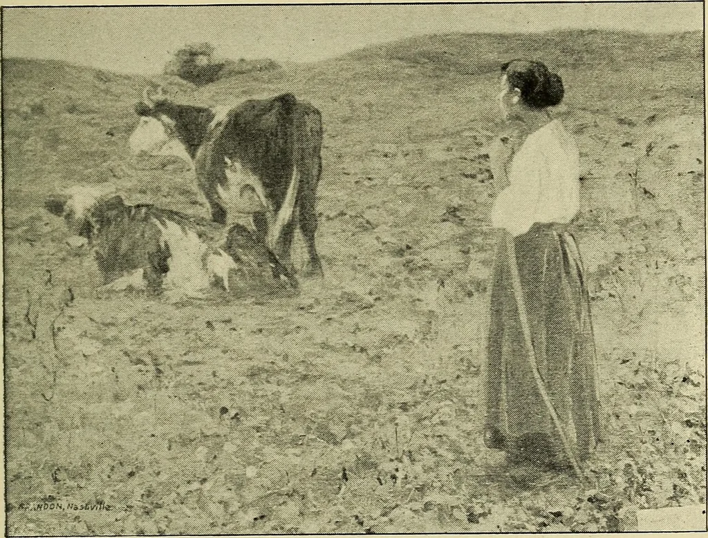 An illustration from Catalogue (illustrated) Fine arts department, 1897, leaf 50