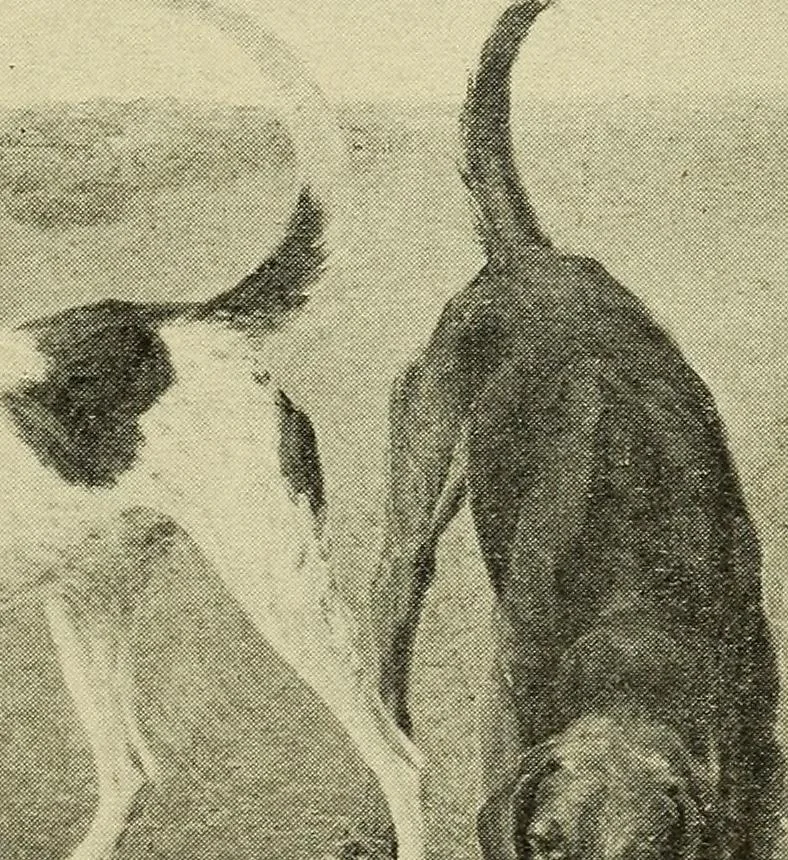 An illustration from Catalogue (illustrated) Fine arts department, 1897, leaf 50