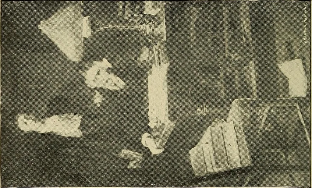 An illustration from Catalogue (illustrated) Fine arts department, 1897, leaf 51