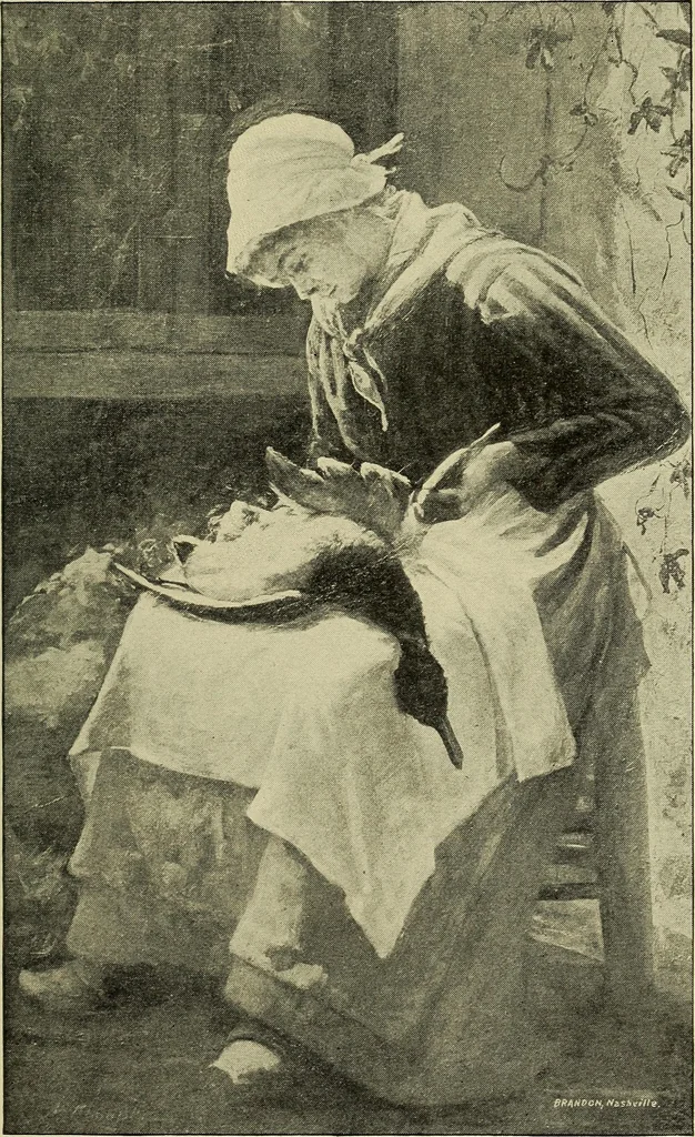 An illustration from Catalogue (illustrated) Fine arts department, 1897, leaf 54