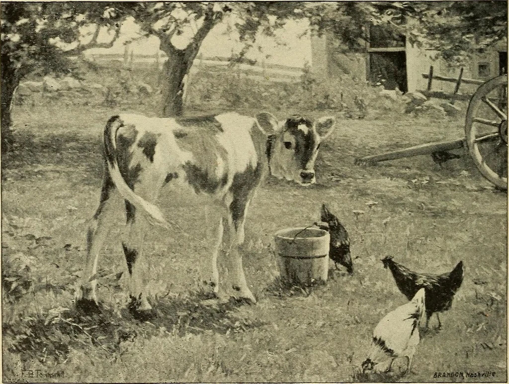 An illustration from Catalogue (illustrated) Fine arts department, 1897, leaf 55