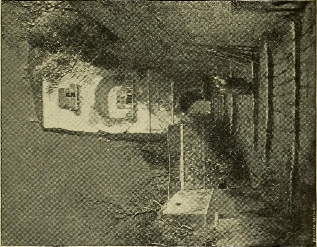 An illustration from Catalogue (illustrated) Fine arts department, 1897, leaf 56