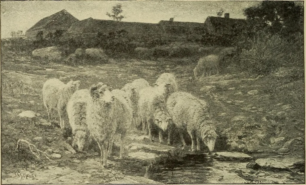 An illustration from Catalogue (illustrated) Fine arts department, 1897, leaf 57