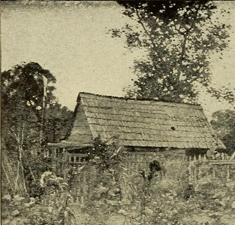An illustration from Catalogue (illustrated) Fine arts department, 1897, leaf 63