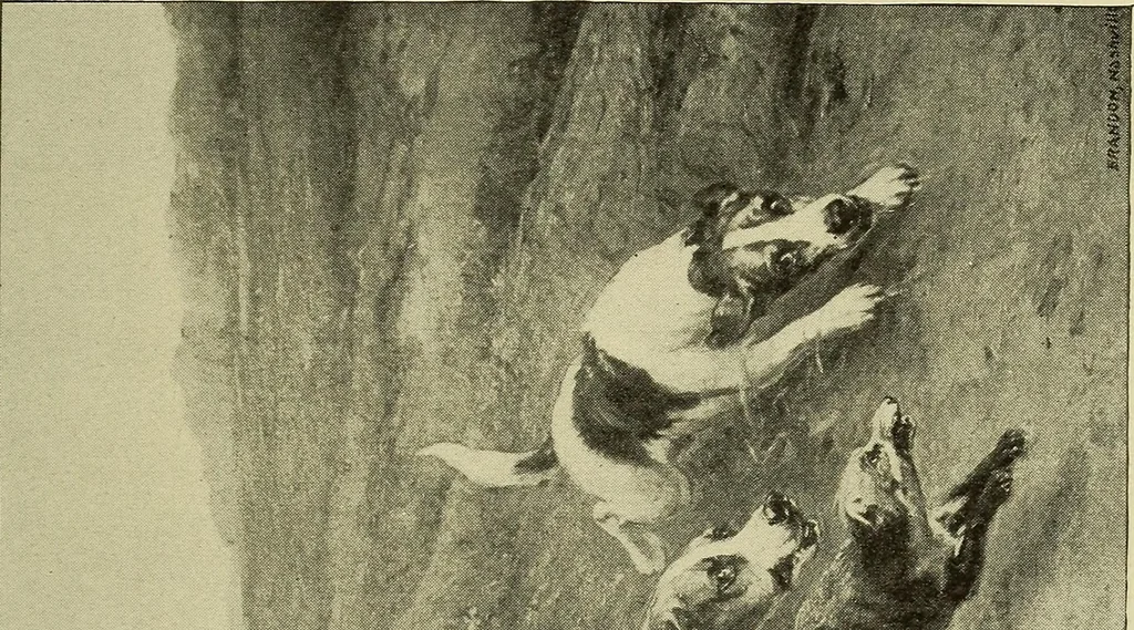 An illustration from Catalogue (illustrated) Fine arts department, 1897, leaf 66