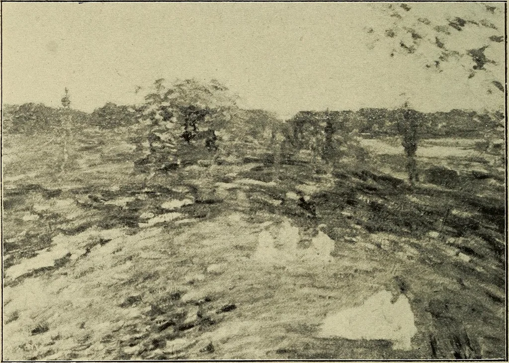 An illustration from Catalogue (illustrated) Fine arts department, 1897, leaf 75