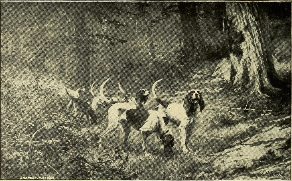 An illustration from Catalogue (illustrated) Fine arts department, 1897, leaf 79