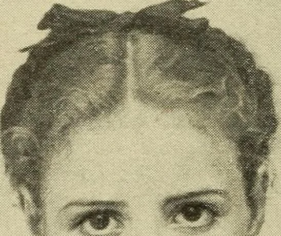 An illustration from Catalogue (illustrated) Fine arts department, 1897, leaf 81