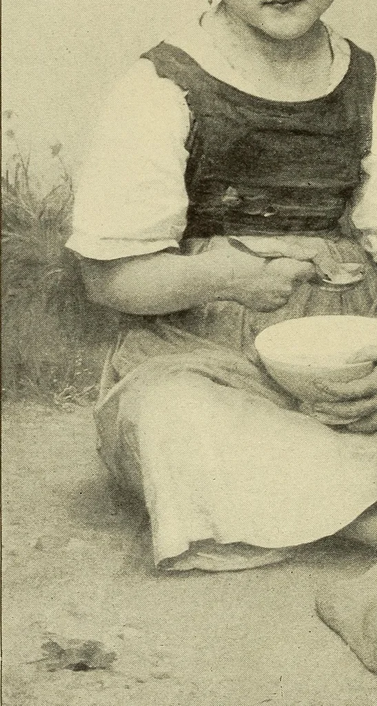 An illustration from Catalogue (illustrated) Fine arts department, 1897, leaf 81