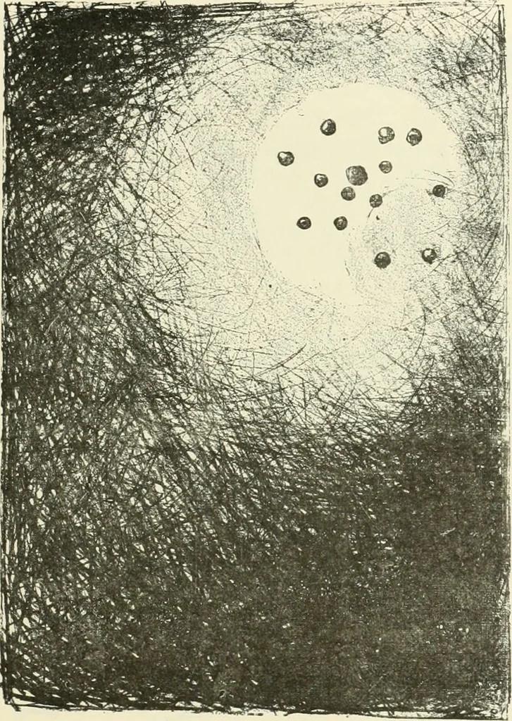 An illustration from Catalogue illustré de l'exposition des arts incohérents, 1884, leaf 118