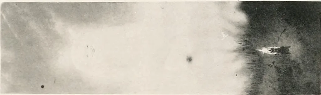An illustration from Catalogue illustré de l'exposition des arts incohérents, 1884, leaf 18