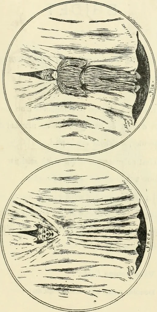 An illustration from Catalogue illustré de l'exposition des arts incohérents, 1884, leaf 74