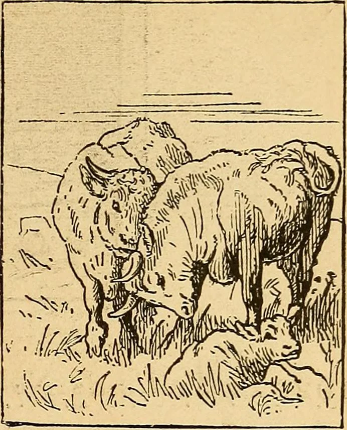 An illustration from Catalogue illustré de la section des beaux-arts : école anglaise ; avec notes, 1878, leaf 18
