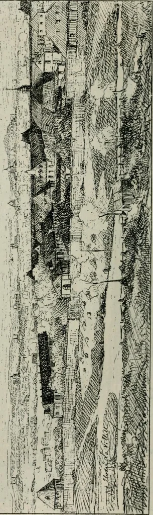 An illustration from Catalogue illustré, 1879, leaf 105