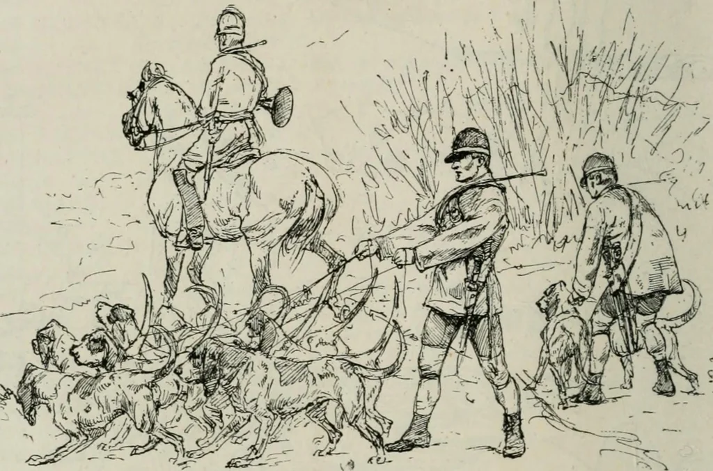 An illustration from Catalogue illustré, 1879, leaf 139