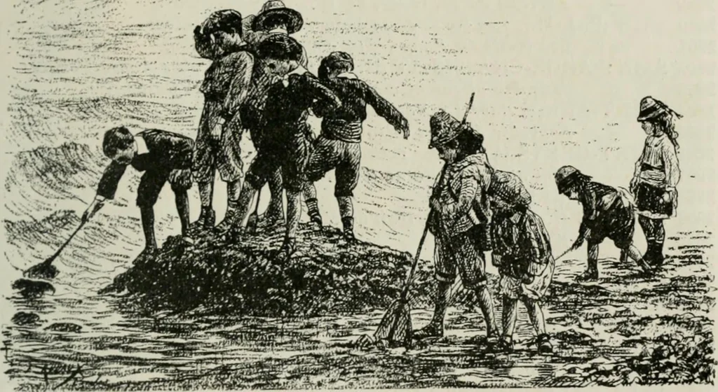 An illustration from Catalogue illustré, 1879, leaf 142