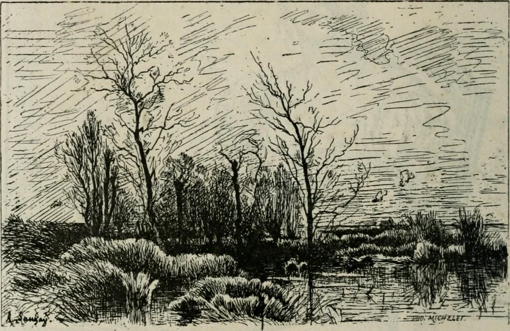 An illustration from Catalogue illustré, 1879, leaf 147