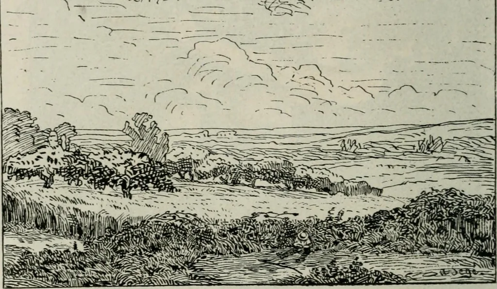 An illustration from Catalogue illustré, 1879, leaf 149