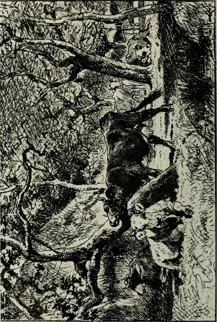 An illustration from Catalogue illustré, 1879, leaf 153