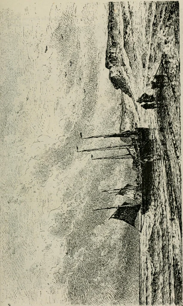 An illustration from Catalogue illustré, 1879, leaf 156